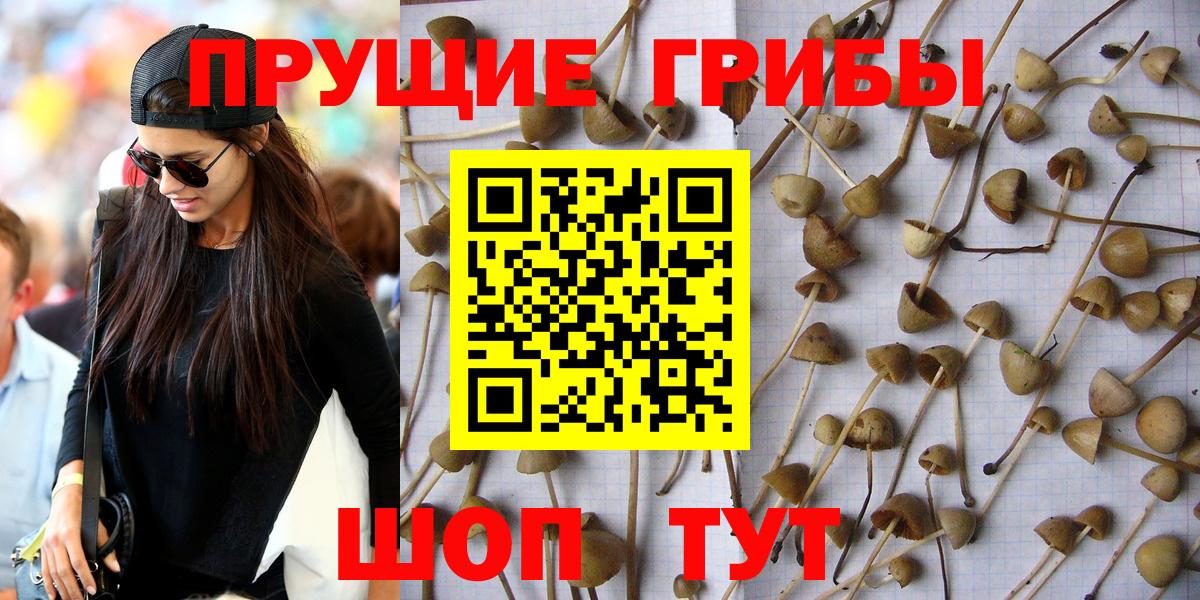 цены   Галлюциногенные грибы мицелий  Вход с VPN  Печора 